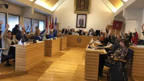 Un momento del pleno del Ayuntamiento de Ciudad Real celebrado este viernes Un momento del pleno del Ayuntamiento de Ciudad Real celebrado este viernes