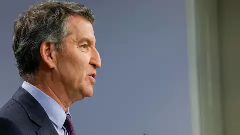 Alberto Núñez Feijóo, líder del PP Alberto Núñez Feijóo, líder del PP