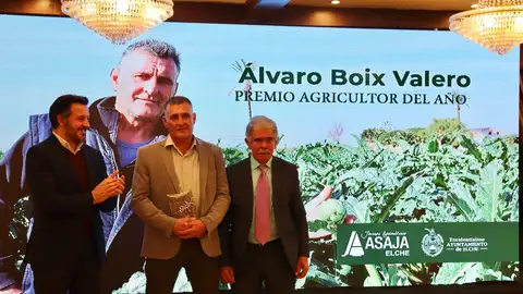 Nit del Camp d’Elx de 2025. Nit del Camp d’Elx de 2025.