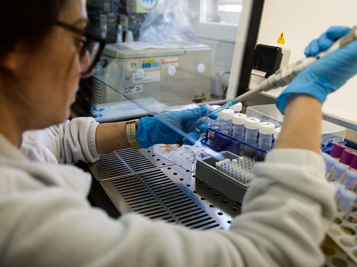 El IDiBE de la UMH de Elche e Isabial buscan desarrollar estructuras que simulan las características y funciones de órganos humanos El IDiBE de la UMH de Elche e Isabial buscan desarrollar estructuras que simulan las características y funciones de órganos humanos