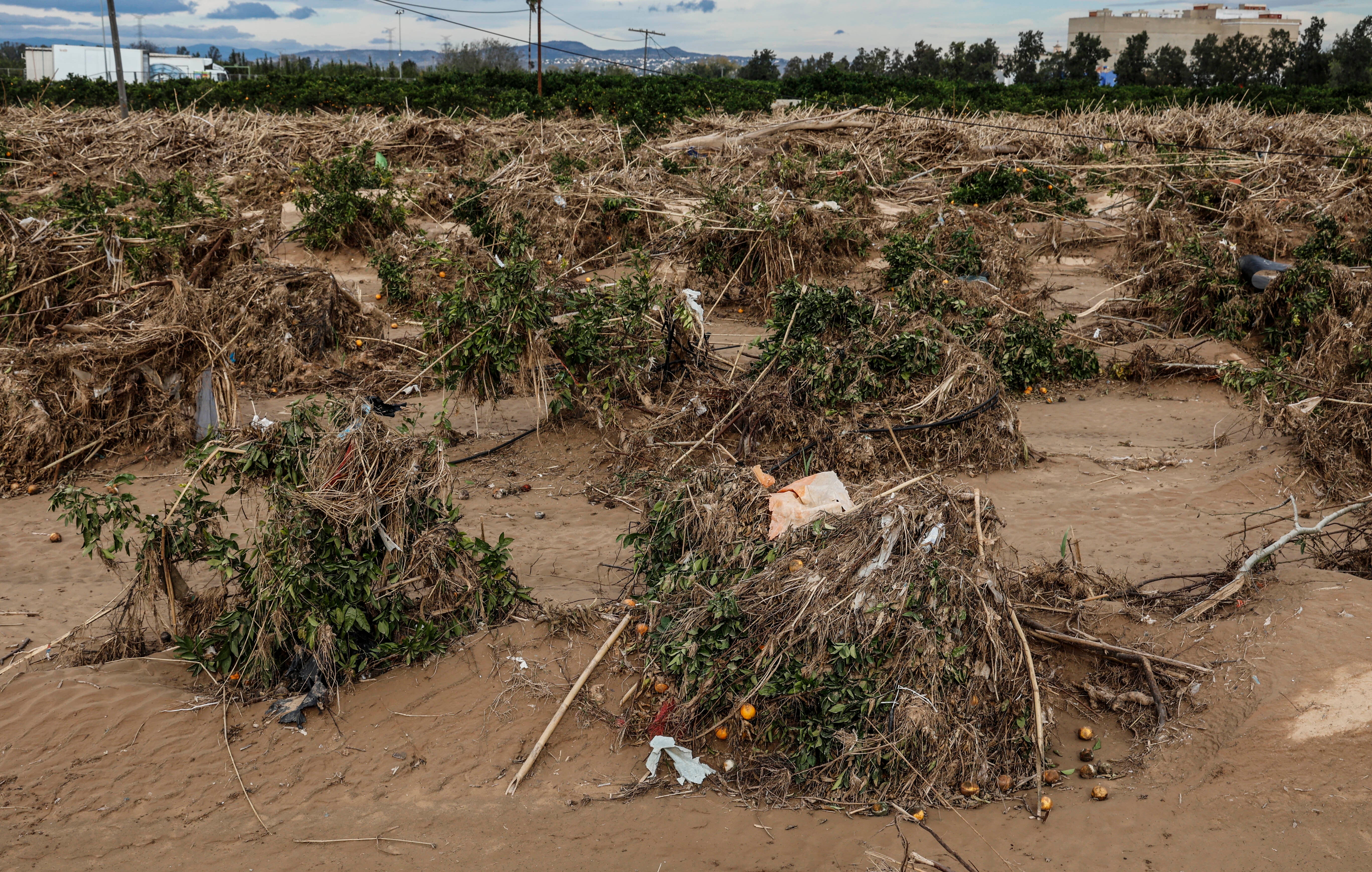 El deslinde del Dominio Público Hidráulico tras la DANA afectará a 100 hectáreas de campos en La Ribera Alta episode artwork