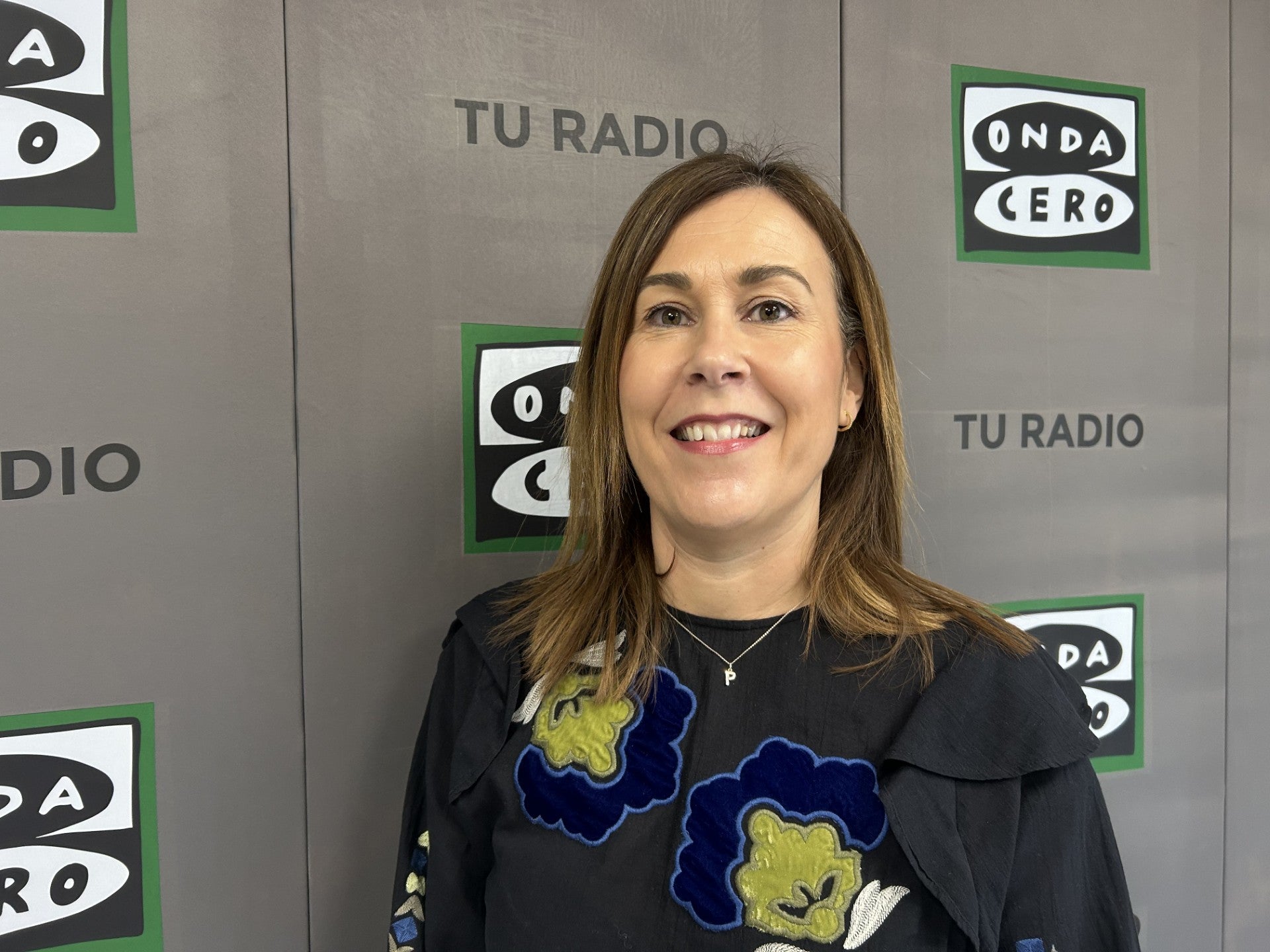 Higuera: "El Centro de Datos apenas nos deja actividad" Higuera: "El Centro de Datos apenas nos deja actividad"