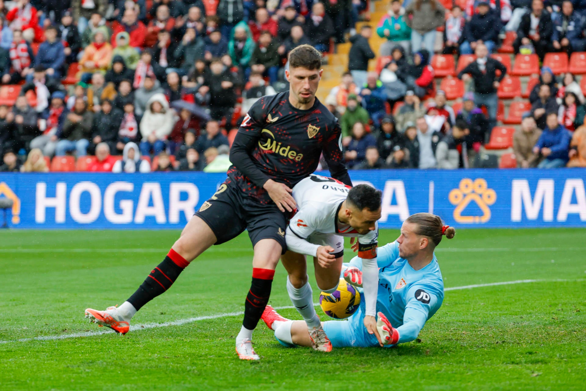 Nyland: "¿Isco y Antony? Tienen mucha calidad pero no le tengo miedo al Betis" Nyland: "¿Isco y Antony? Tienen mucha calidad pero no le tengo miedo al Betis"