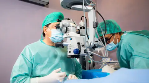 El doctor Alfonso Arias, en una intervención. El doctor Alfonso Arias, en una intervención.