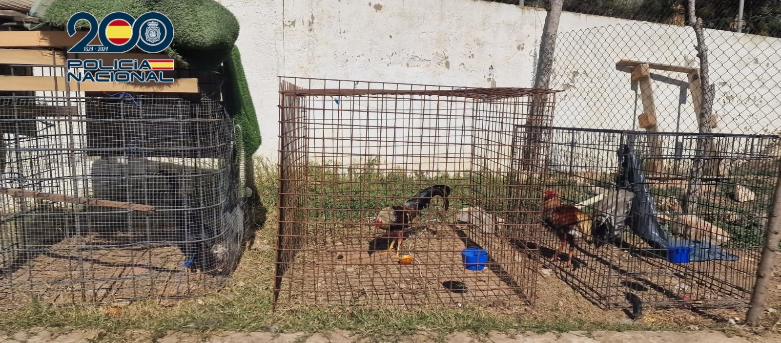 Detenida una veintena de personas en la Marina Baixa por venta de drogas y al cabecilla, además, por maltrato animal Detenida una veintena de personas en la Marina Baixa por venta de drogas y al cabecilla, además, por maltrato animal