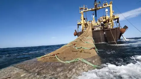 pesca de arrastre pesca de arrastre