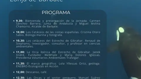 Jornada de orcas Jornada de orcas