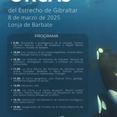 Jornada de orcas Jornada de orcas