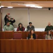 Pleno Ayuntamiento de Vigo