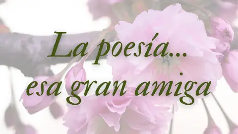 El Plan de Fomento de la Lectura de la Junta de Extremadura lanza una nueva edición del concurso 'La poesía... esa gran amiga' El Plan de Fomento de la Lectura de la Junta de Extremadura lanza una nueva edición del concurso 'La poesía... esa gran amiga'