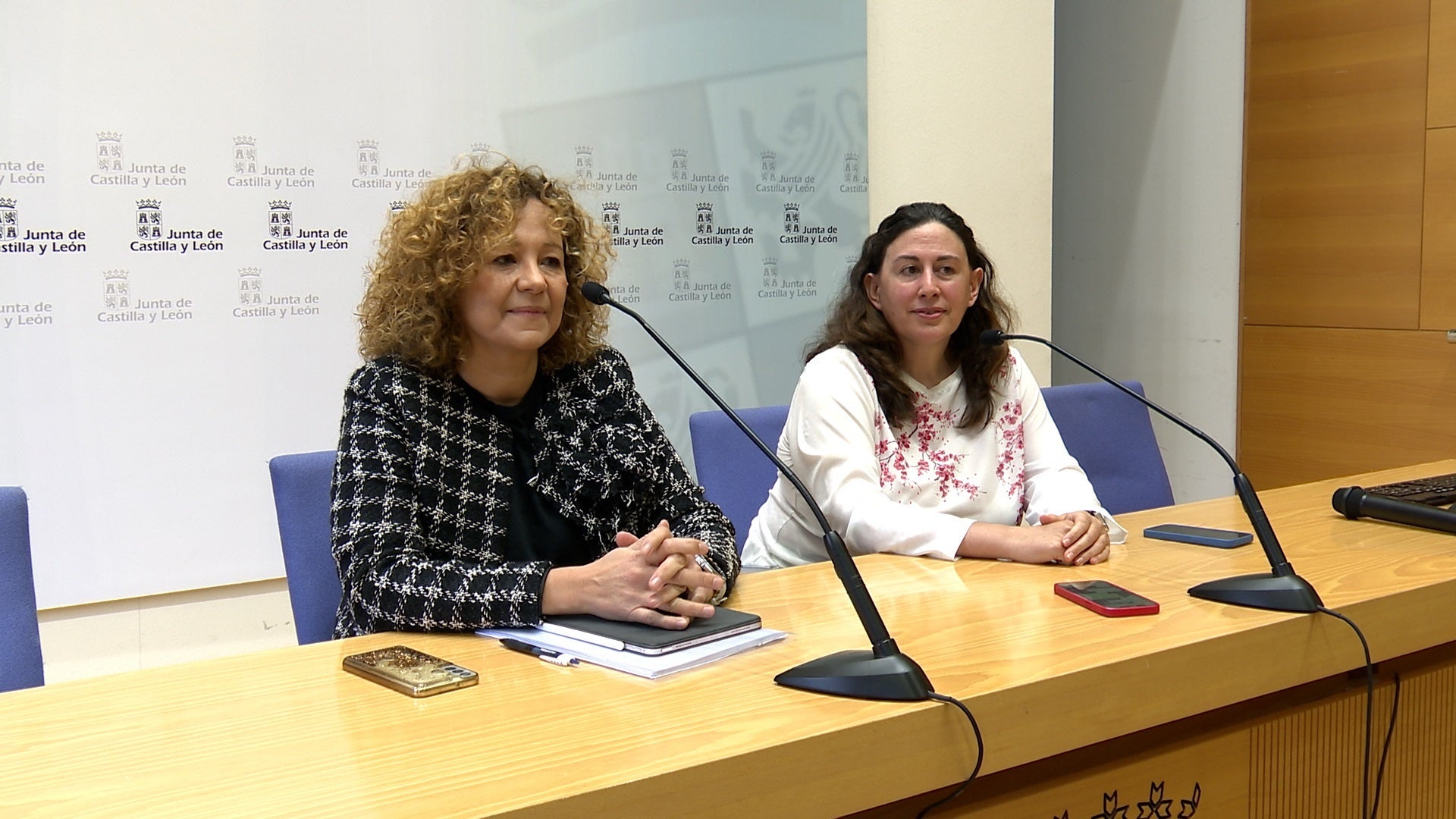 Dimite la directora de Salud de Castilla y León tras decir que el covid "no fue de gran gravedad" Dimite la directora de Salud de Castilla y León tras decir que el covid "no fue de gran gravedad"