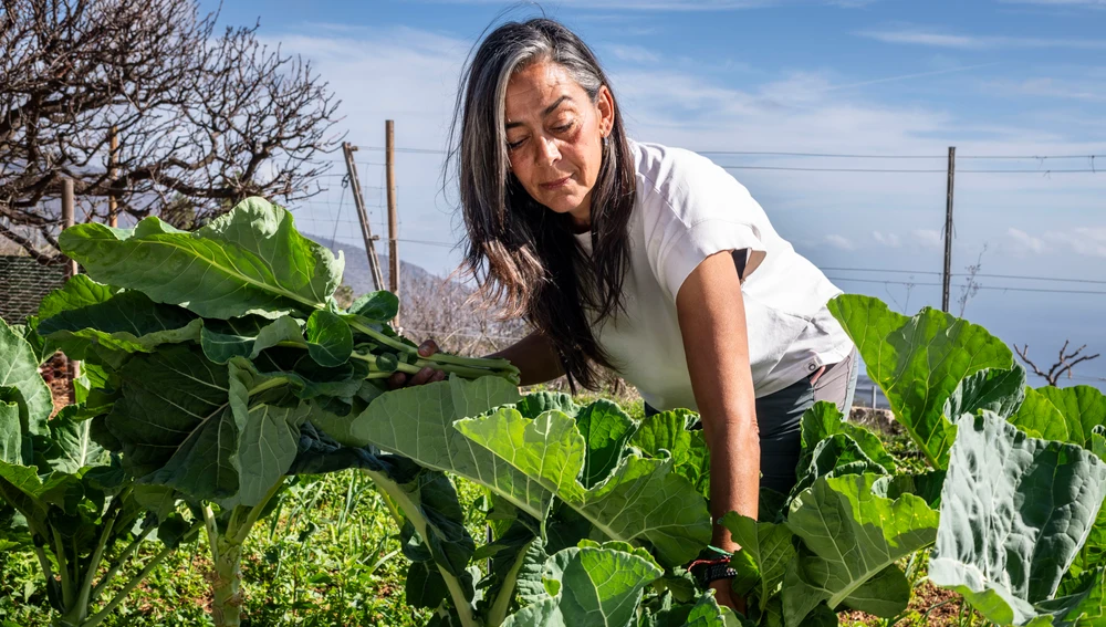 Pilar Carballo muestra su preocupación en torno a la soberanía alimentaria de las islas. Pilar Carballo muestra su preocupación en torno a la soberanía alimentaria de las islas.