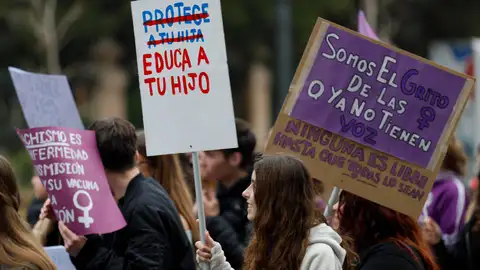 Vista general de la manifestación "Contra la violencia machista" con motivo del 8M celebrada por los estudiantes. Vista general de la manifestación "Contra la violencia machista" con motivo del 8M celebrada por los estudiantes.