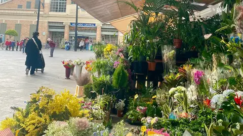 Puestos de flores del Mercado Central de Alicante Puestos de flores del Mercado Central de Alicante