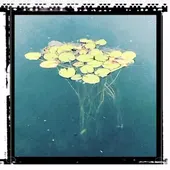 Natura Natura