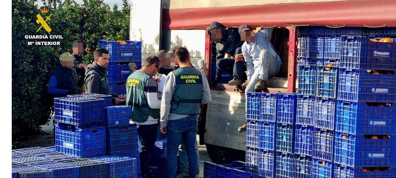 La Guardia Civil arremete contra las sustracciones en la campaña de cítricos de la Ribera La Guardia Civil arremete contra las sustracciones en la campaña de cítricos de la Ribera