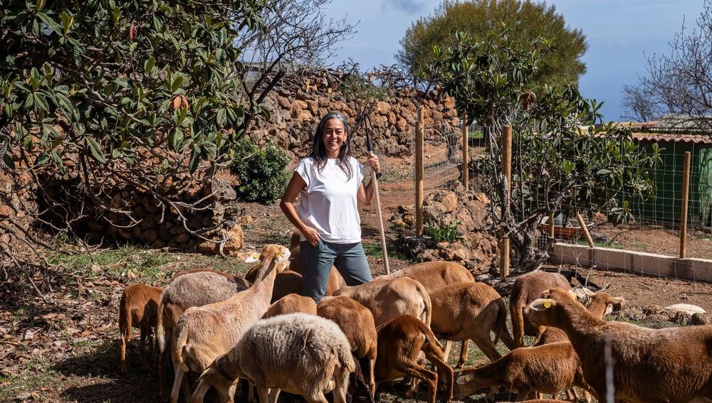 Pilar Carballo es la única productora de cordero ecológico de las Islas Canarias. Pilar Carballo es la única productora de cordero ecológico de las Islas Canarias.