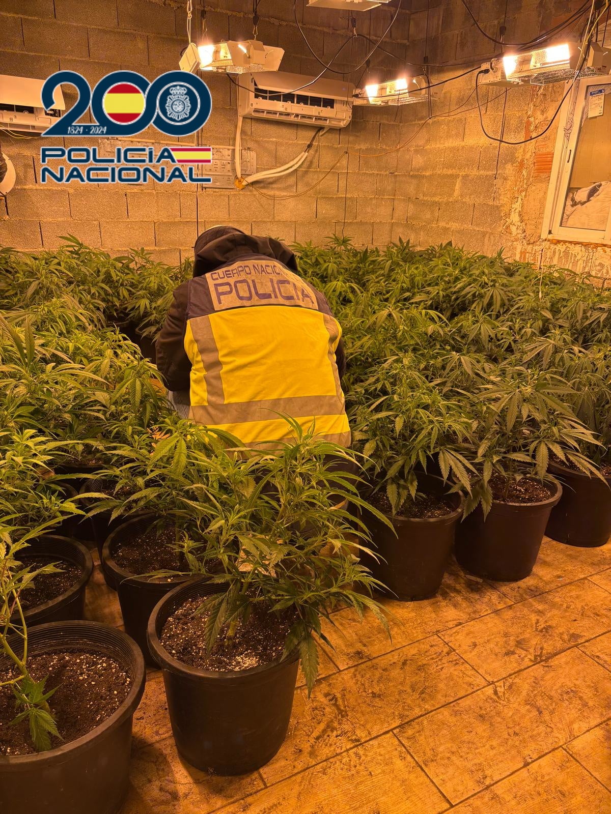 La Policía Nacional detiene en Elche a cuatro miembros de una familia desmantelando un punto de venta de droga muy activo La Policía Nacional detiene en Elche a cuatro miembros de una familia desmantelando un punto de venta de droga muy activo