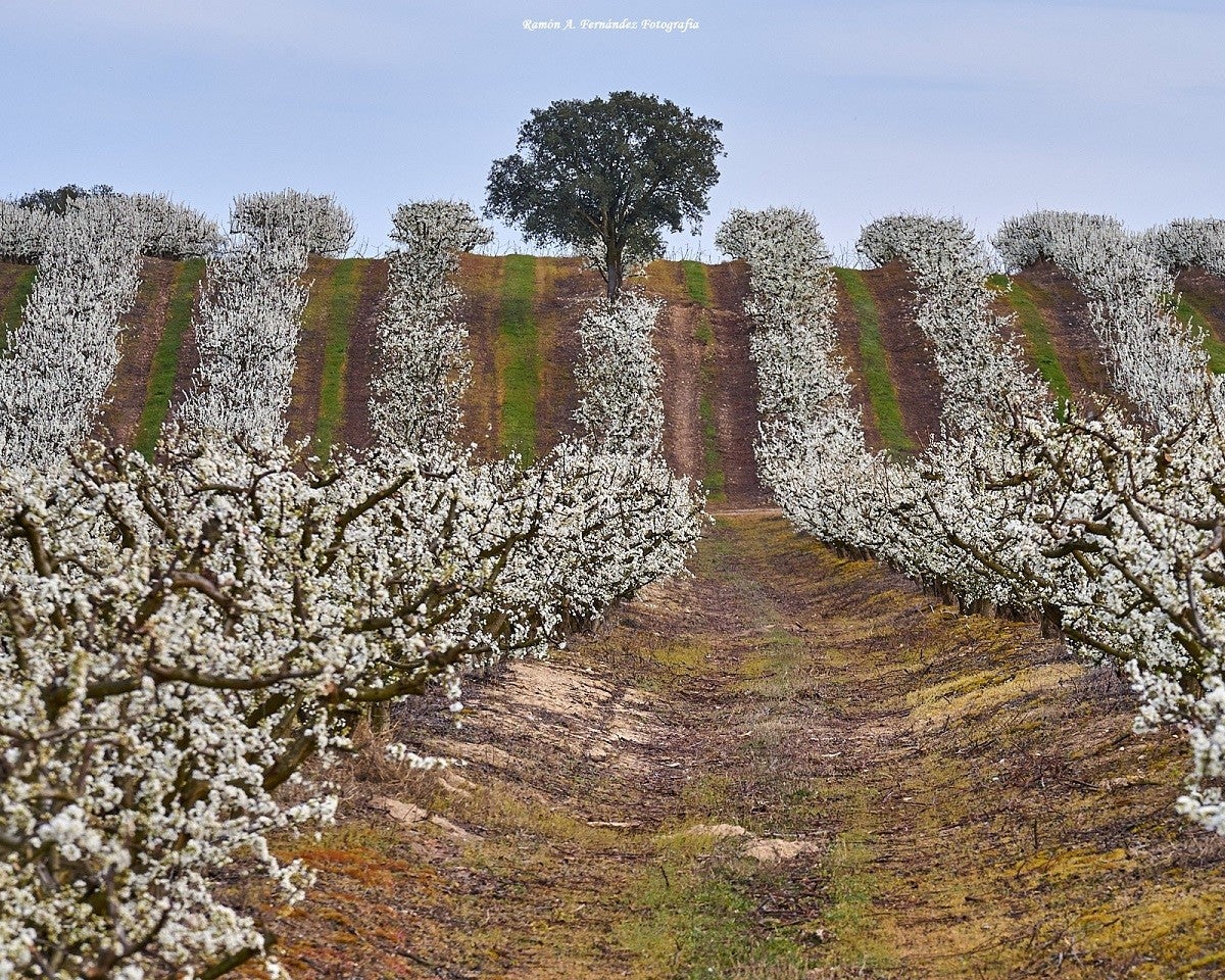 Lugares de ensueño Lugares de ensueño