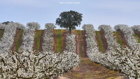 Lugares de ensueño no son horas