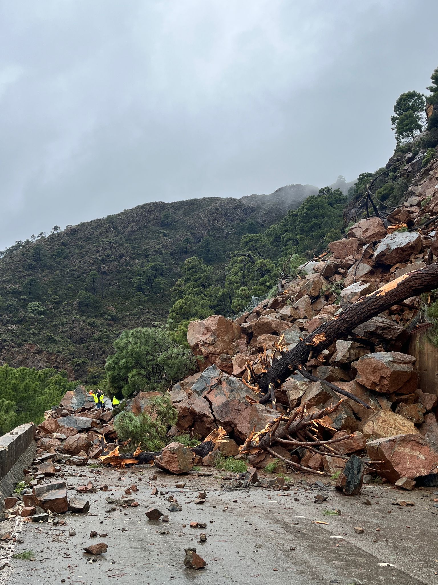 Un desprendimiento de rocas corta la carretera de Ronda entre los cruces de Benahavís e Igualeja Un desprendimiento de rocas corta la carretera de Ronda entre los cruces de Benahavís e Igualeja
