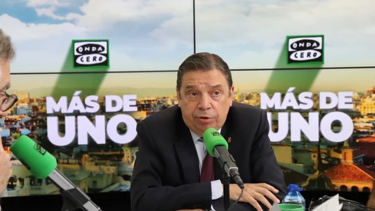 Luis Planas, ministro de Agricultura, Pesca y Alimentación, en Más de uno Luis Planas, ministro de Agricultura, Pesca y Alimentación, en Más de uno/ Verónica del Castillo/ ondacero.es