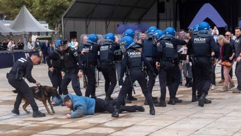 Demostraci&oacute;n de la unidad canina K9 en el 181 aniversario de la Polic&iacute;a Local de Benidorm