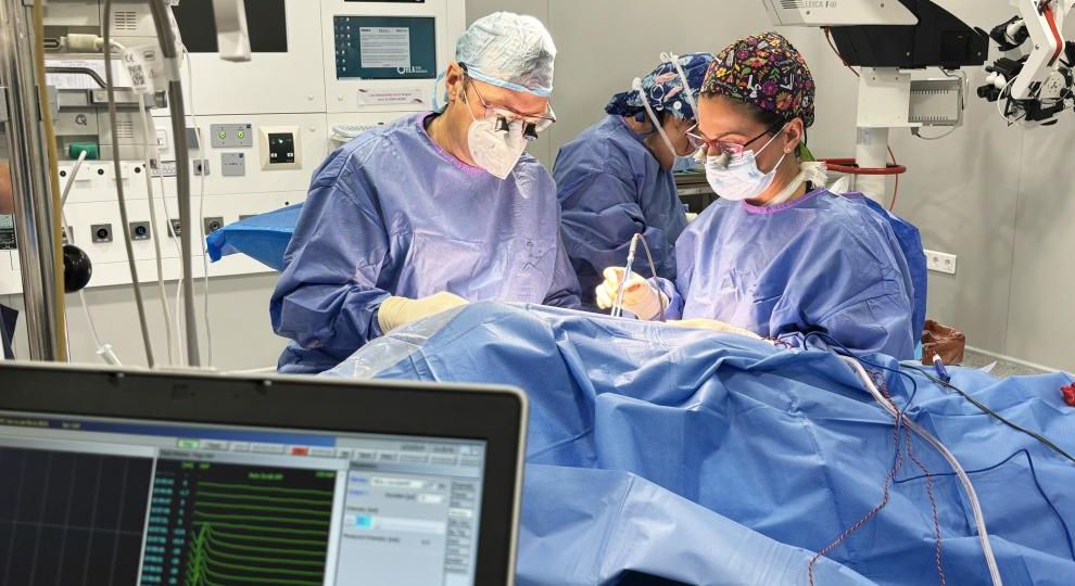 Zaragoza reúne a expertos de toda España en microcirugía de la mano Zaragoza reúne a expertos de toda España en microcirugía de la mano