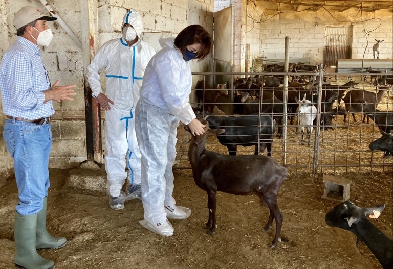 Médicos, maestros, carteros y veterinarios rurales, el motor de la Almería de interior Médicos, maestros, carteros y veterinarios rurales, el motor de la Almería de interior