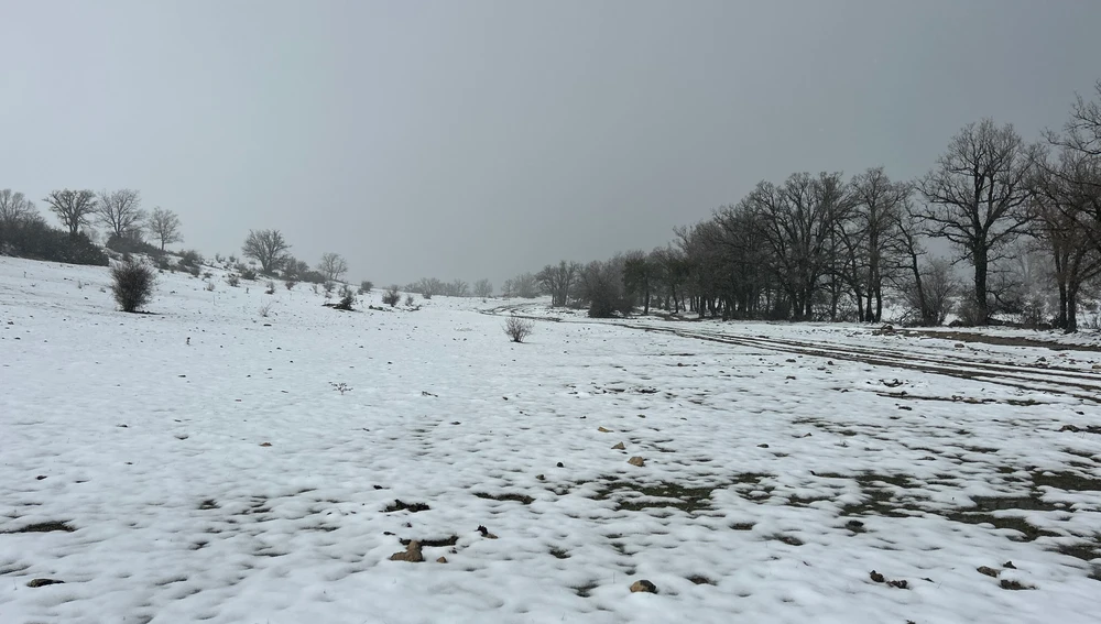 La nieve dejó varios centímetros de espesor en algunas localidades de la Serranía conquense La nieve dejó varios centímetros de espesor en algunas localidades de la Serranía conquense