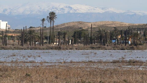 Vista del Fondet de la Senieta del Clot de Galvany de Elche.