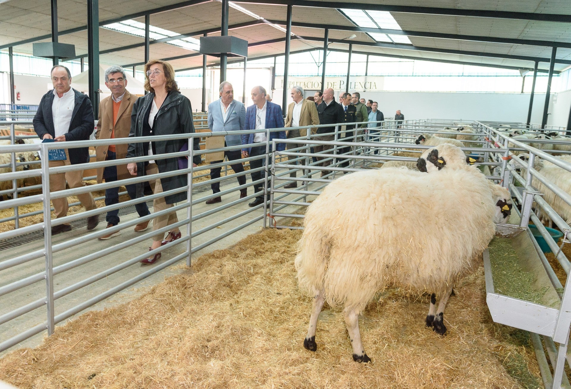 La Diputación de Palencia renueva la colaboración con ANCHE por importe de 38.000 euros La Diputación de Palencia renueva la colaboración con ANCHE por importe de 38.000 euros