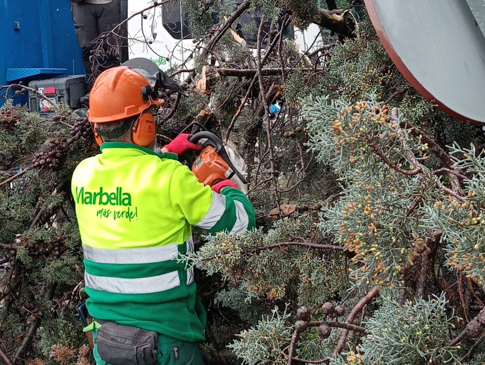 Una decena de árboles caídos, playas en estado "lamentable" y algunos pasos inundados por la borrasca Una decena de árboles caídos, playas en estado "lamentable" y algunos pasos inundados por la borrasca