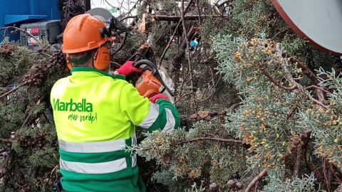 servicios operativos