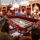 Instantes de la celebración del Consejo de Alcaldías en la Diputación de Cádiz Instantes de la celebración del Consejo de Alcaldías en la Diputación de Cádiz
