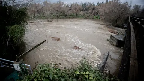 Vista de la crecida del caudal del río Henares, a 7 de marzo de 2025, en Alcalá de Henares, Madrid Vista de la crecida del caudal del río Henares, a 7 de marzo de 2025, en Alcalá de Henares, Madrid