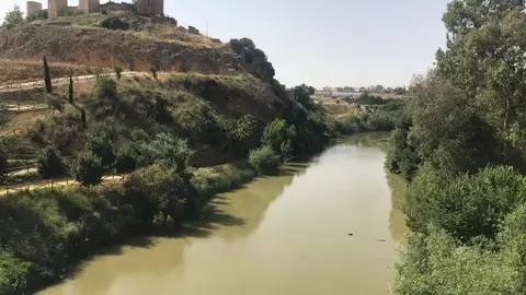 Activado el aviso rojo en Arahal por la crecida del río Guadaíra Activado el aviso rojo en Arahal por la crecida del río Guadaíra