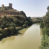 Activado el aviso rojo en Arahal por la crecida del río Guadaíra Activado el aviso rojo en Arahal por la crecida del río Guadaíra