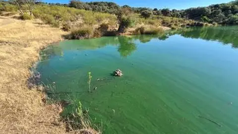 Embalse del Parque Nacional de Monfragüe, en Cáceres, el 11 de marzo de 2025. Embalse del Parque Nacional de Monfragüe, en Cáceres, el 11 de marzo de 2025.