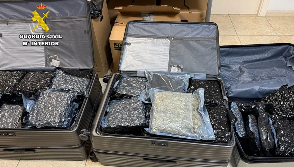 Maletas cargadas de paquetes de marihuena Maletas cargadas de paquetes de marihuena