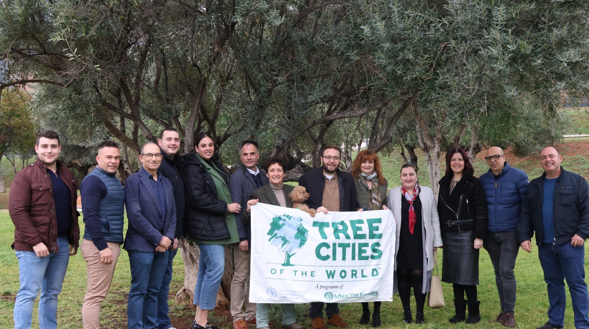 Naciones Unidas revalida el título a Onda como Ciudad Mundial del Árbol por su estrategia verde Naciones Unidas revalida el título a Onda como Ciudad Mundial del Árbol por su estrategia verde