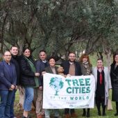 Naciones Unidas revalida el título a Onda como Ciudad Mundial del Árbol por su estrategia verde