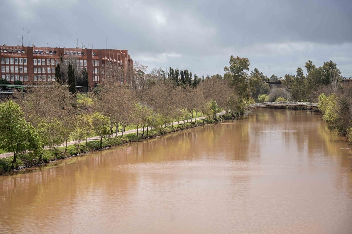 El Ayuntamiento de Mérida iniciará este viernes las labores de limpieza del Guadianilla El Ayuntamiento de Mérida iniciará este viernes las labores de limpieza del Guadianilla