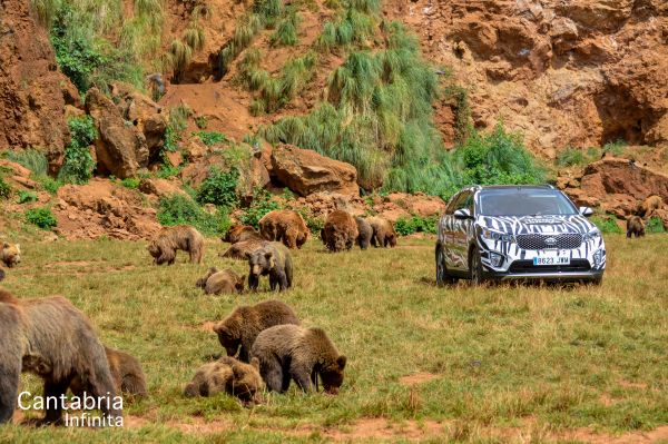 Pinchan las ruedas y cortan los cables ABS de cinco vehículos de Cantur en el Parque de Cabárceno Pinchan las ruedas y cortan los cables ABS de cinco vehículos de Cantur en el Parque de Cabárceno