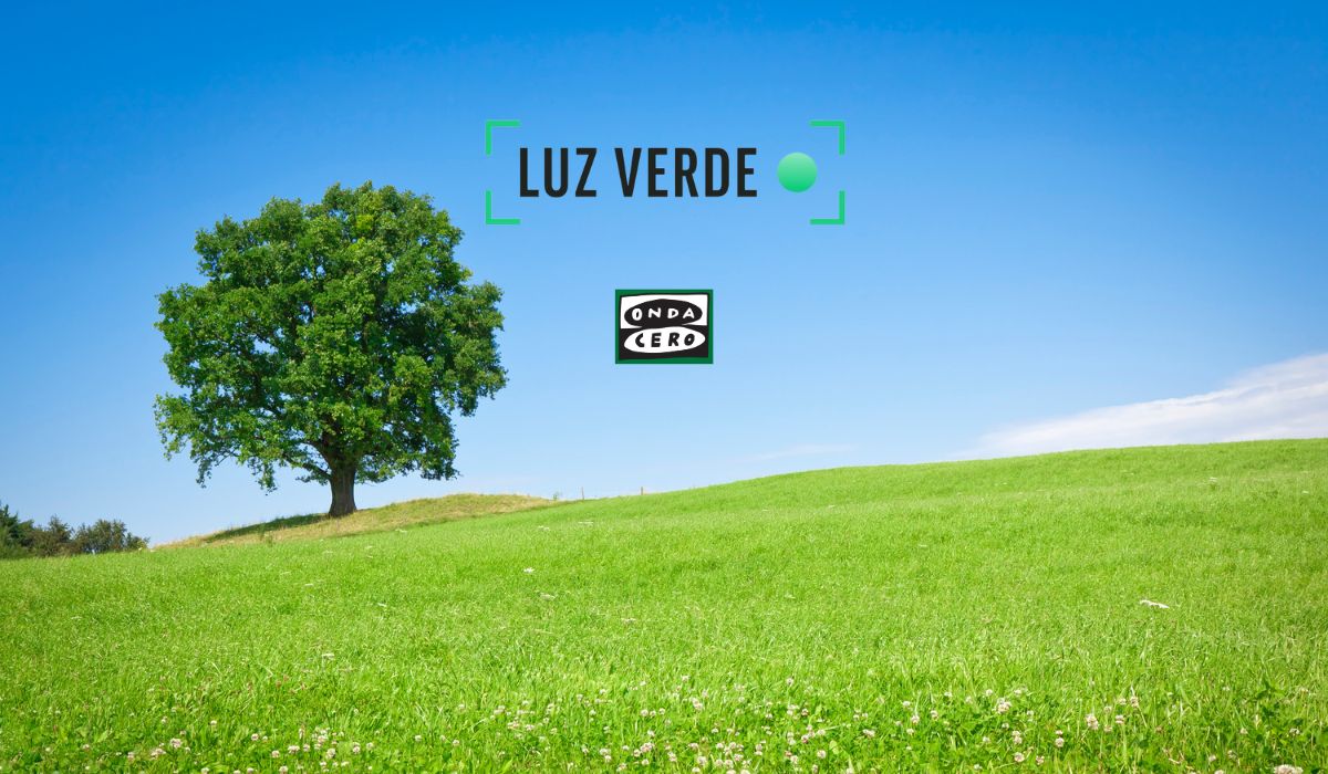 Informe coyuntura ambiental en Euskadi Informe coyuntura ambiental en Euskadi