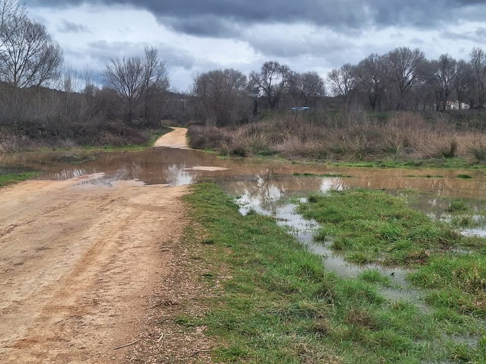 El abrazo histórico entre Entrepeñas y Buendía, más cerca El abrazo histórico entre Entrepeñas y Buendía, más cerca