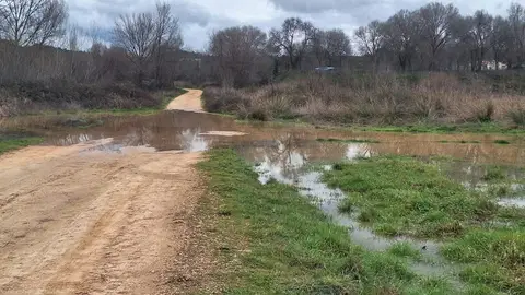 Camino de acceso al sistema de conexión entre Entrepeñas y Buendía Camino de acceso al sistema de conexión entre Entrepeñas y Buendía