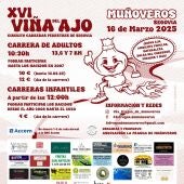 XVI Viña del Ajo