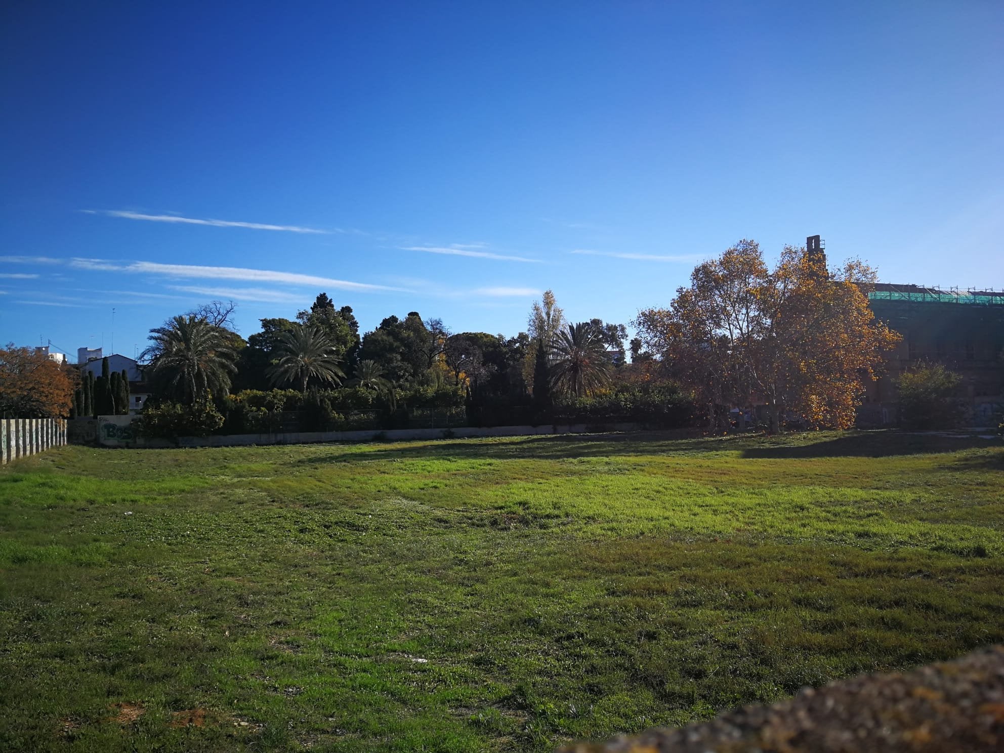 El Ayuntamiento adjudica las obras para transformar el ‘solar de Jesuítas’ en un jardín evocador de la huerta El Ayuntamiento adjudica las obras para transformar el ‘solar de Jesuítas’ en un jardín evocador de la huerta