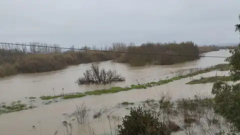 Río Tajo a su paso por Talavera de la Reina Río Tajo a su paso por Talavera de la Reina